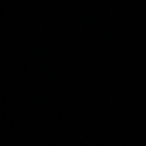 Meet your Posher, Reese